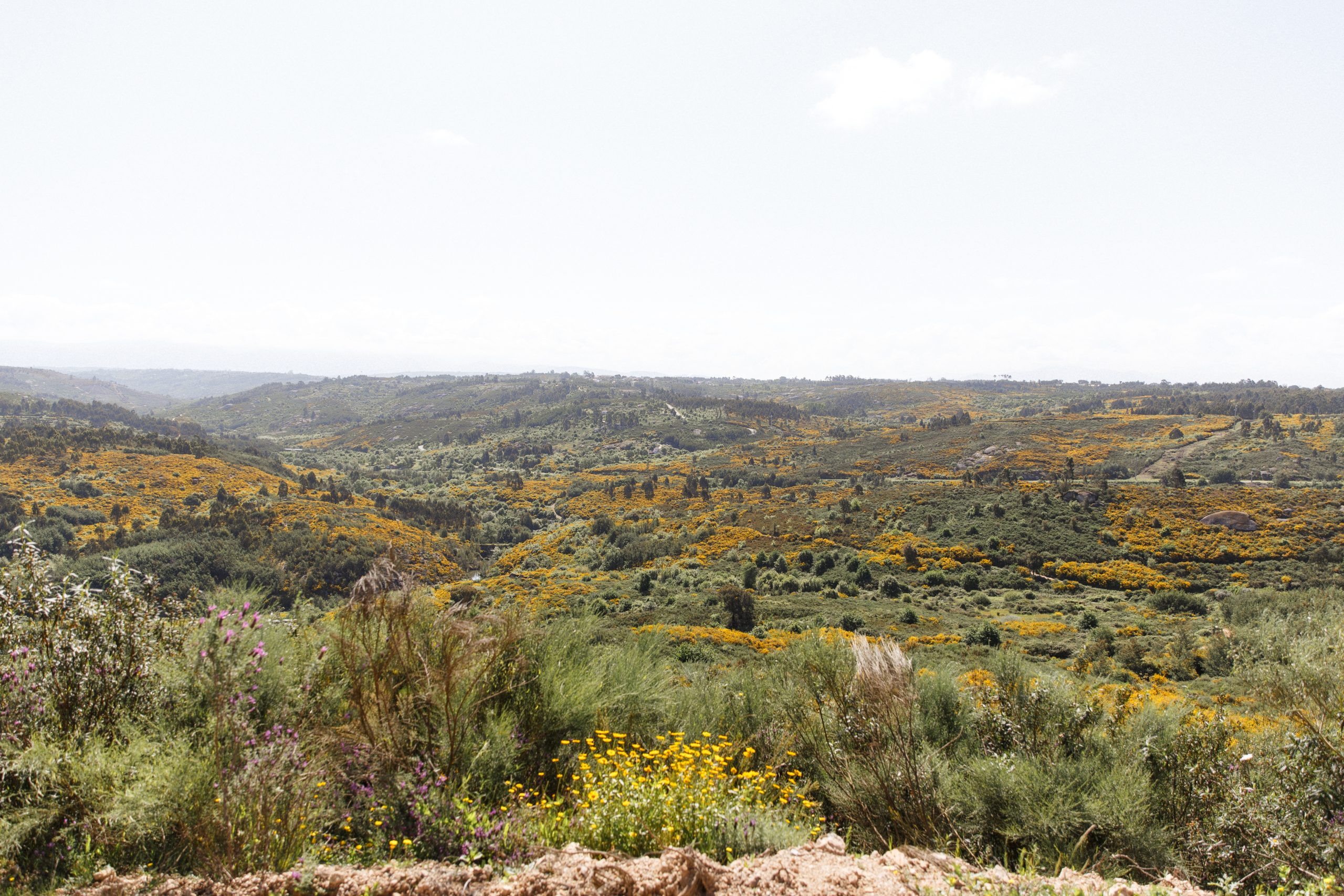 Quinta do Rabaçal